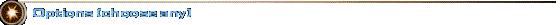 ʾѡ